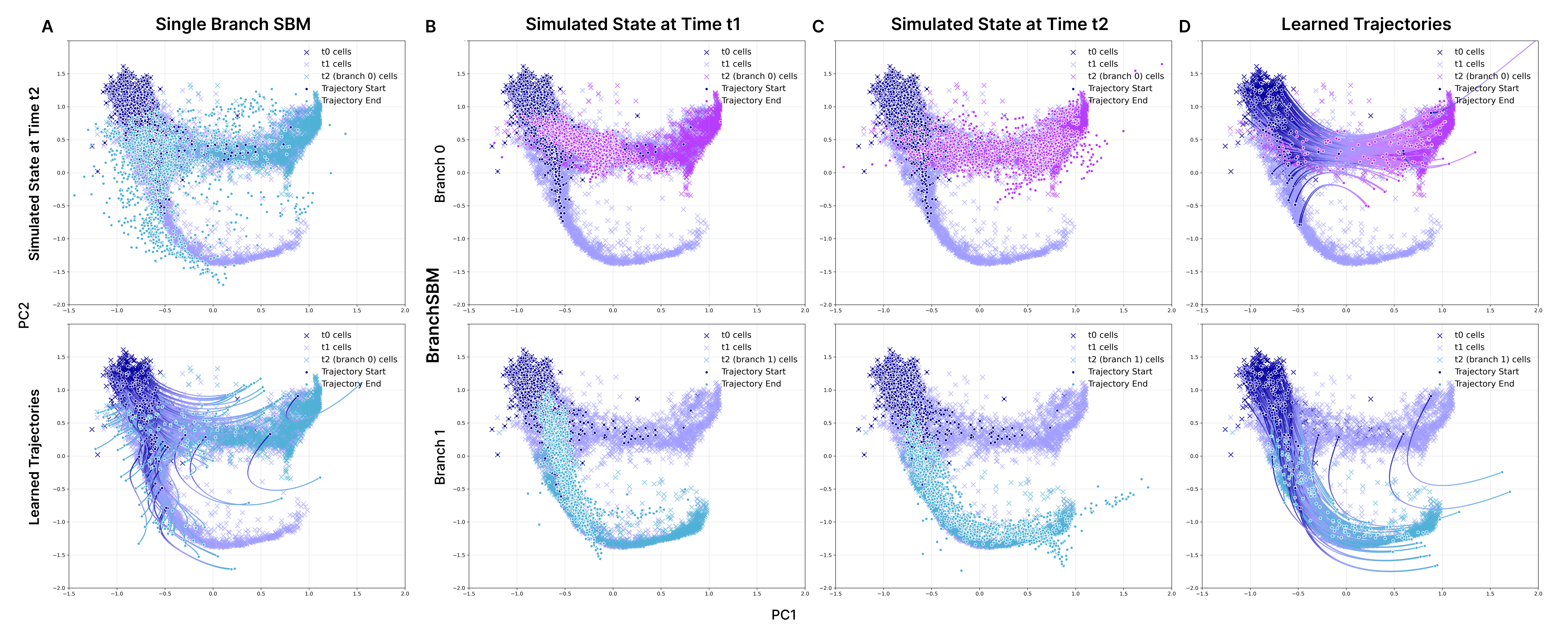 Mouse hematopoiesis branching trajectories