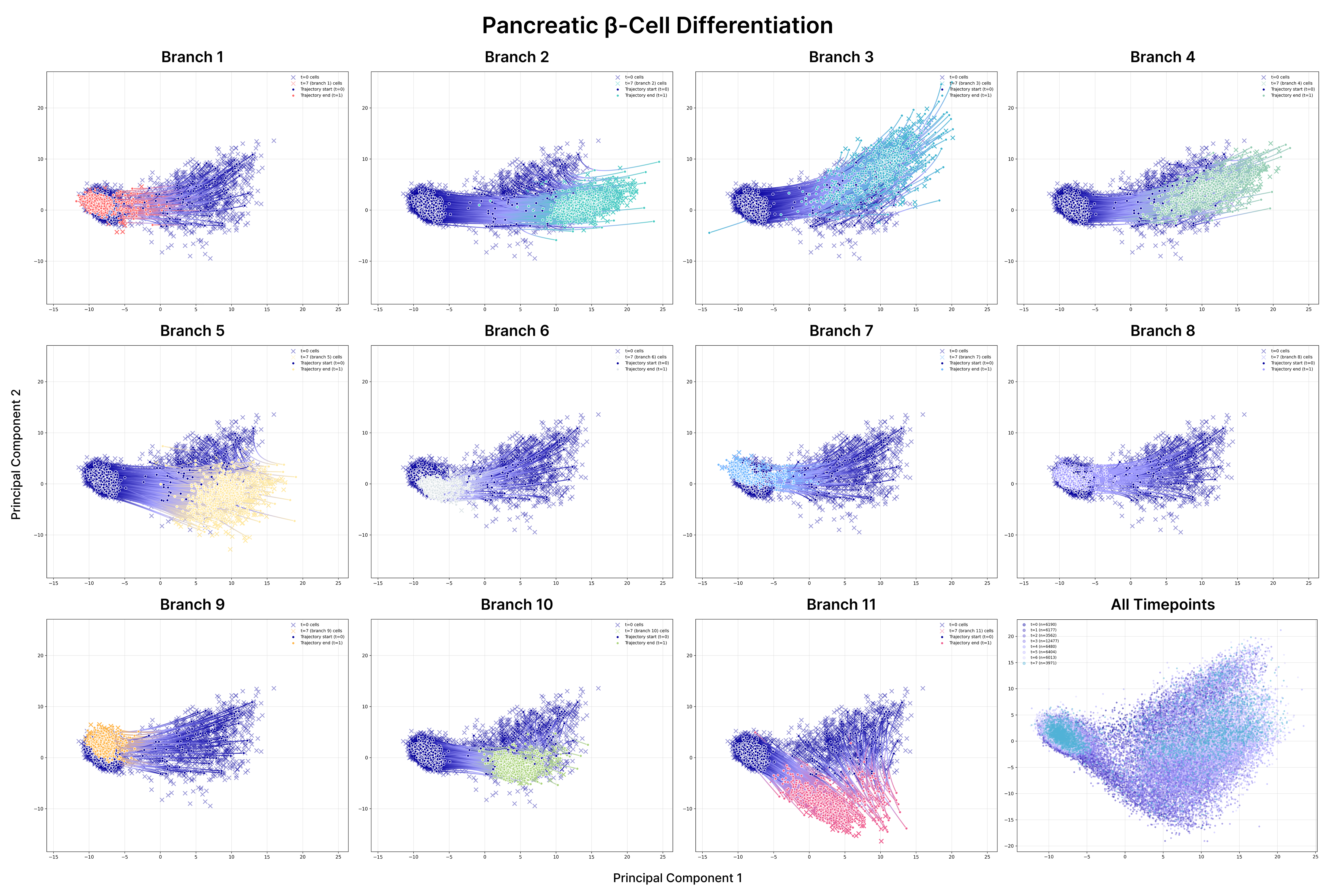 Veres pancreatic beta-cell differentiation results
