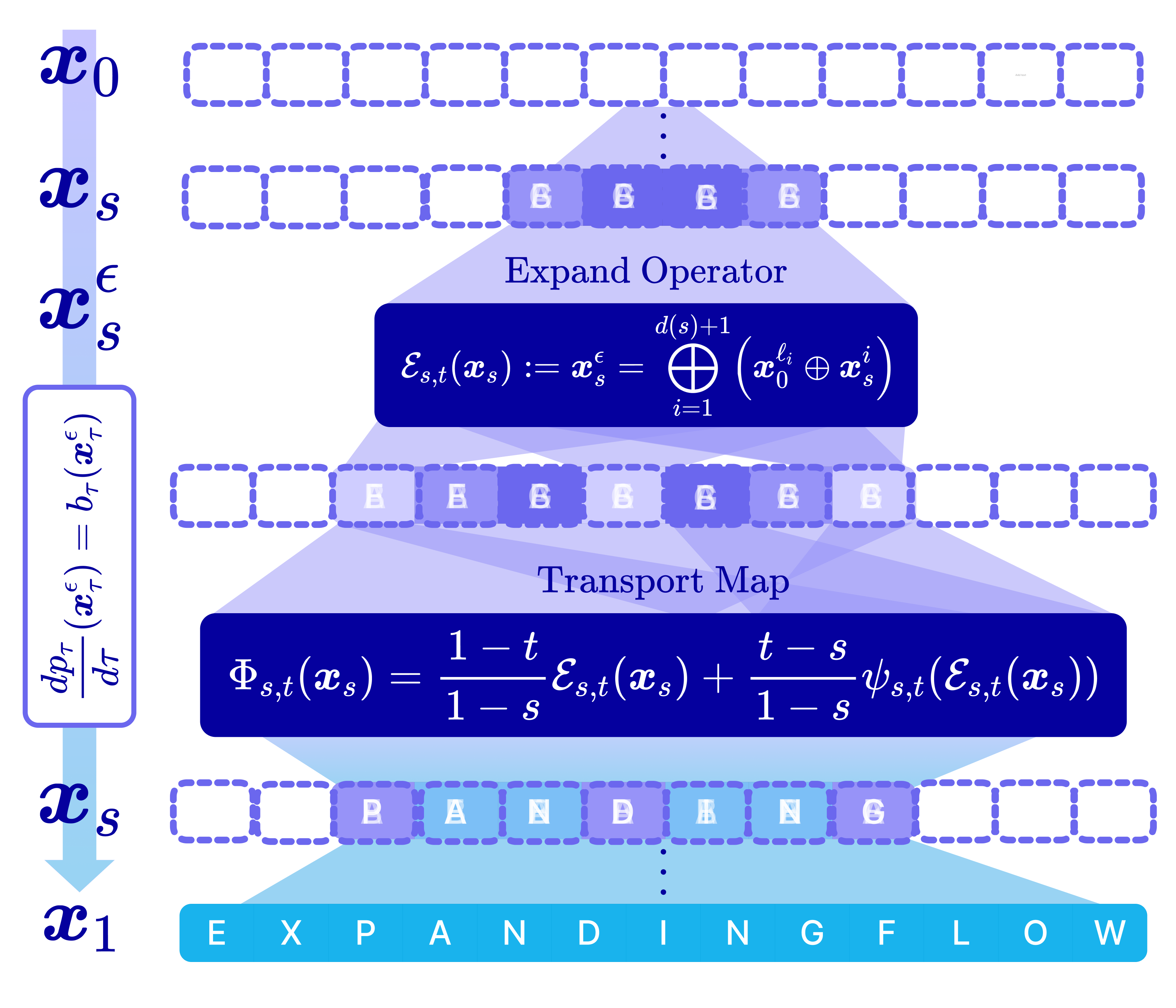 Discrete Expanding Flow Maps: latent tokens are inserted via the expand operator and denoised via the transport map defined with the mean denoiser